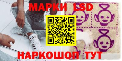 гидра Славгород
