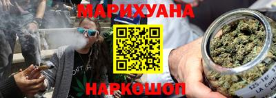 гидра Славгород