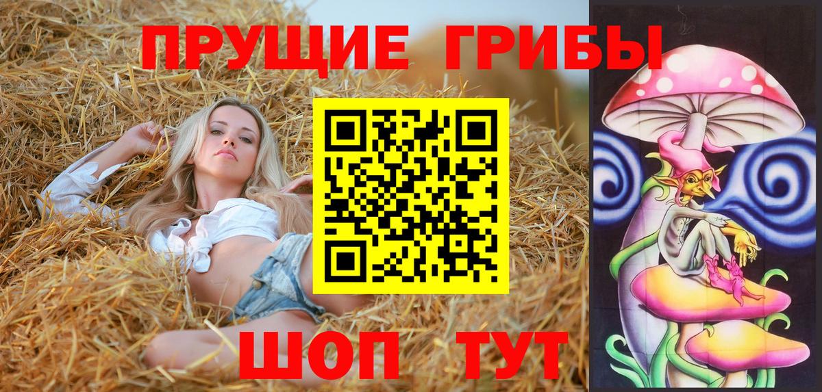 Псилоцибиновые грибы MAGIC MUSHROOMS  Вход с VPN  Новочеркасск  Псилоцибиновые грибы GOLDEN TEACHER 